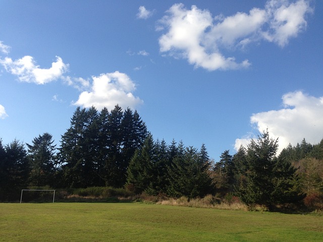新邻居