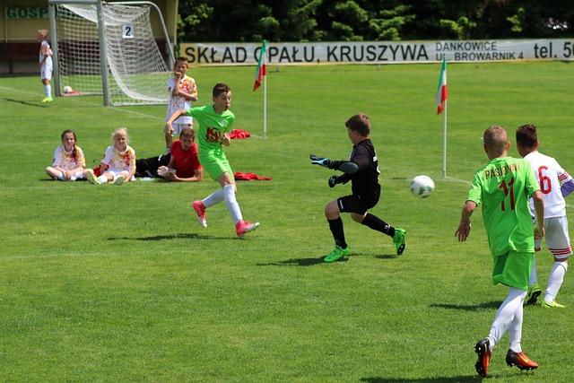 们的期待感 们的期待感