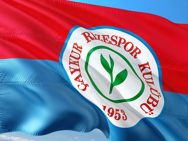 出令人瞠目 出令人瞠目