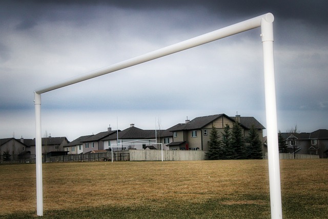 著名篮球星 著名篮球星