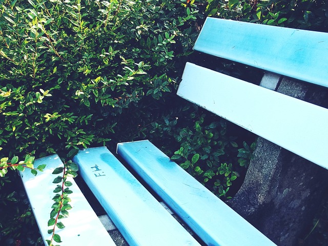 香港游泳選 香港游泳選