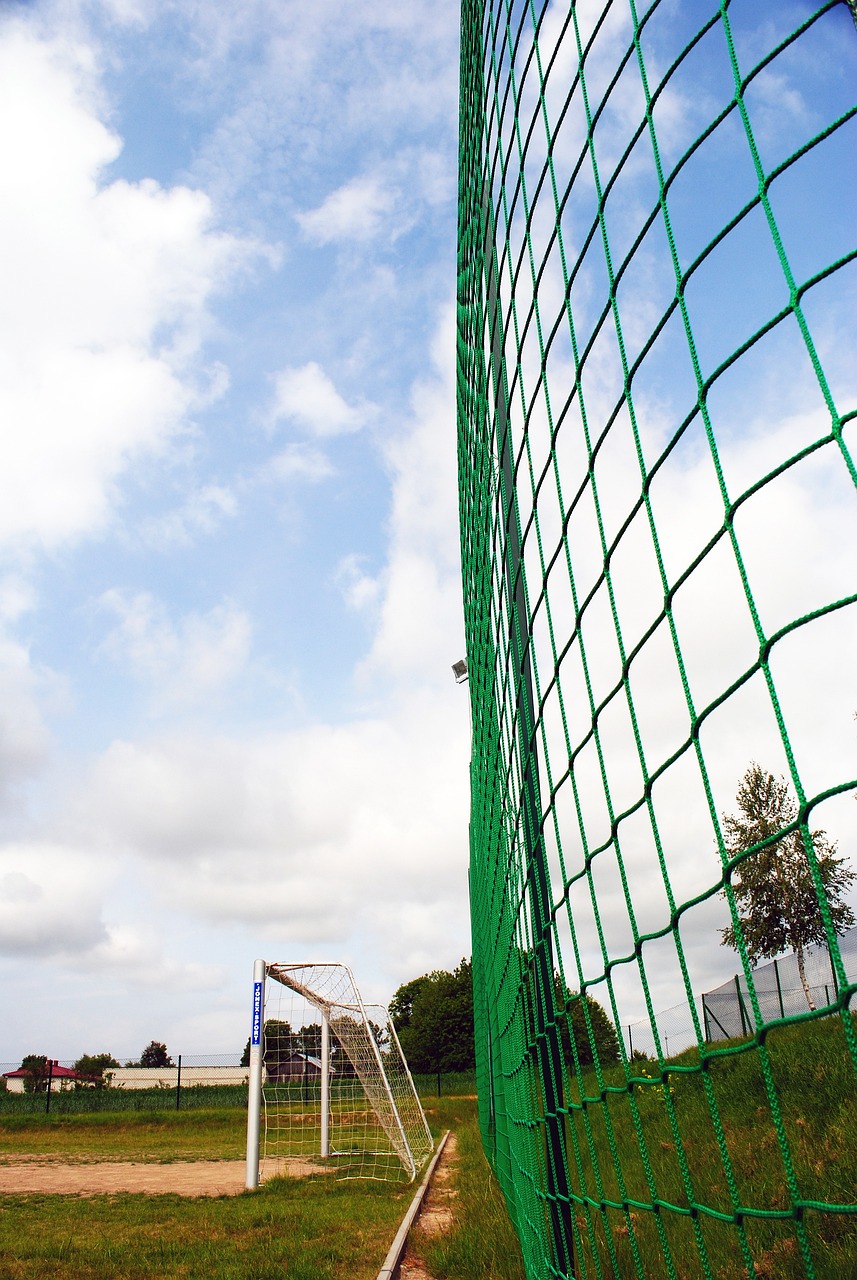 自由选择 自由选择