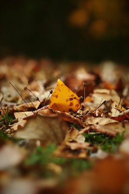个人特点 个人特点