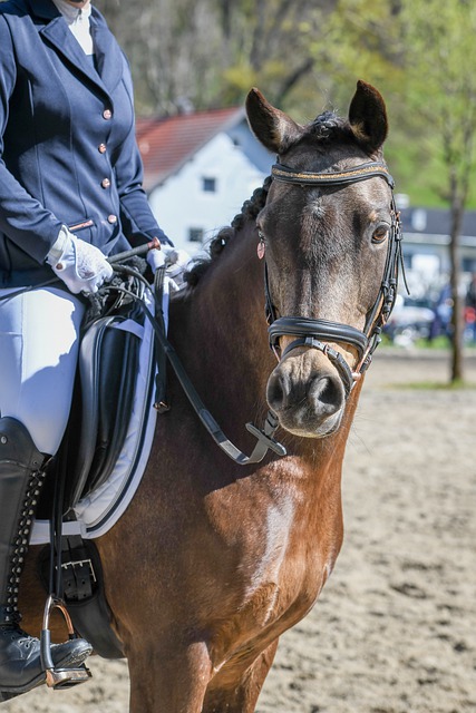 這帶來了競 這帶來了競