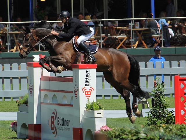 力和球队的 力和球队的