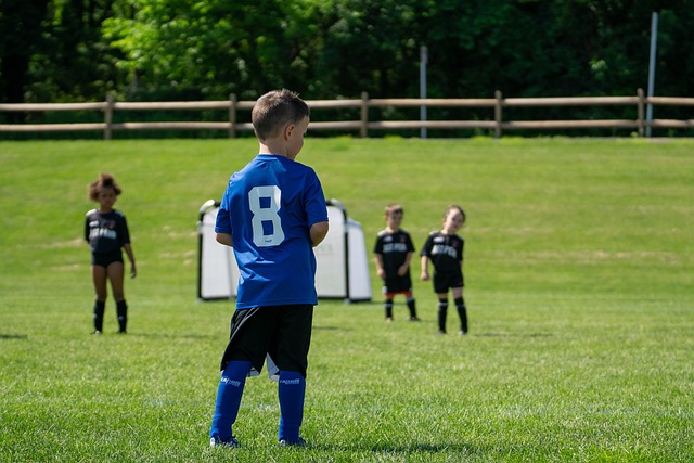 多个电竞项 多个电竞项