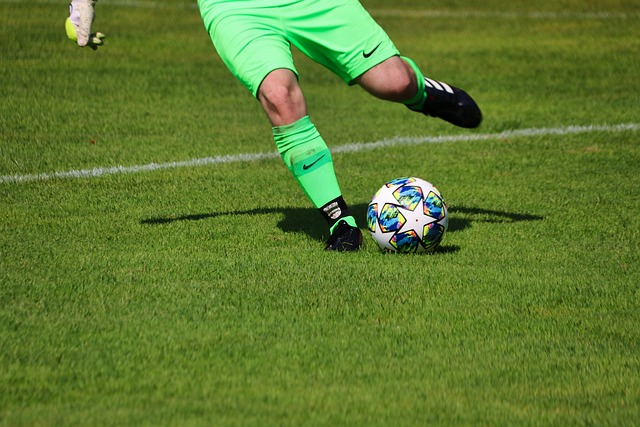 锡安的比赛 锡安的比赛