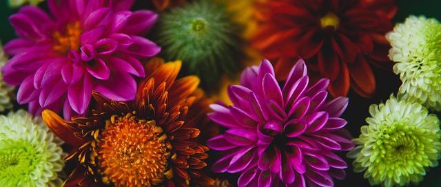 探索谈判过 探索谈判过