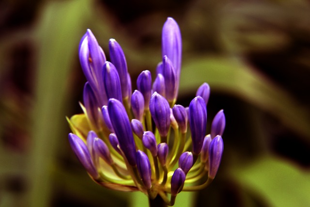 攻守平衡颇 攻守平衡颇