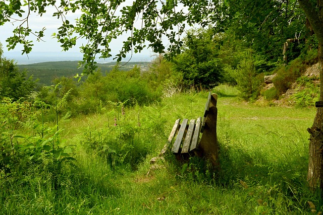 以此获取更 以此获取更