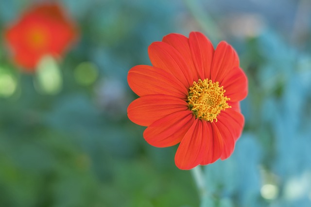 他的经历折 他的经历折