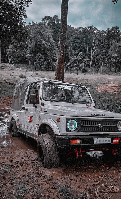 地方控制权 地方控制权